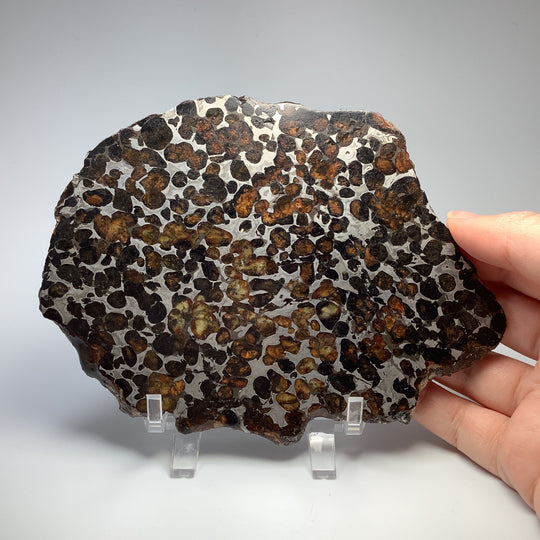 Sericho Large Meteorite Slice