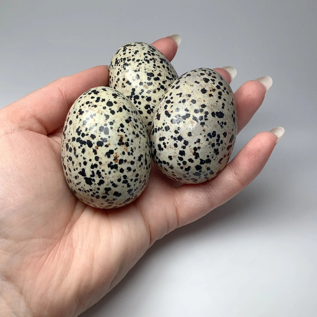 Dalmatian Jasper Egg