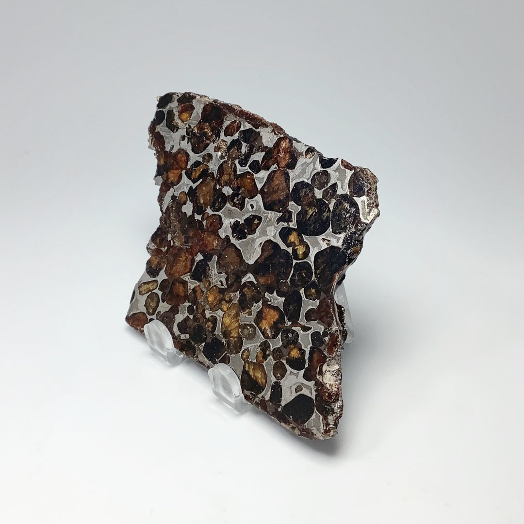 Sericho Meteorite Slice