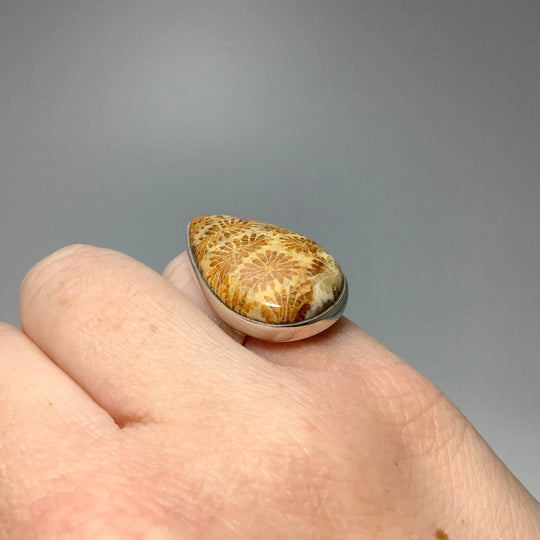 Fossil Coral Ring