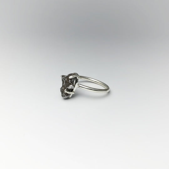 Campo Del Cielo Meteorite Ring at $99 Each