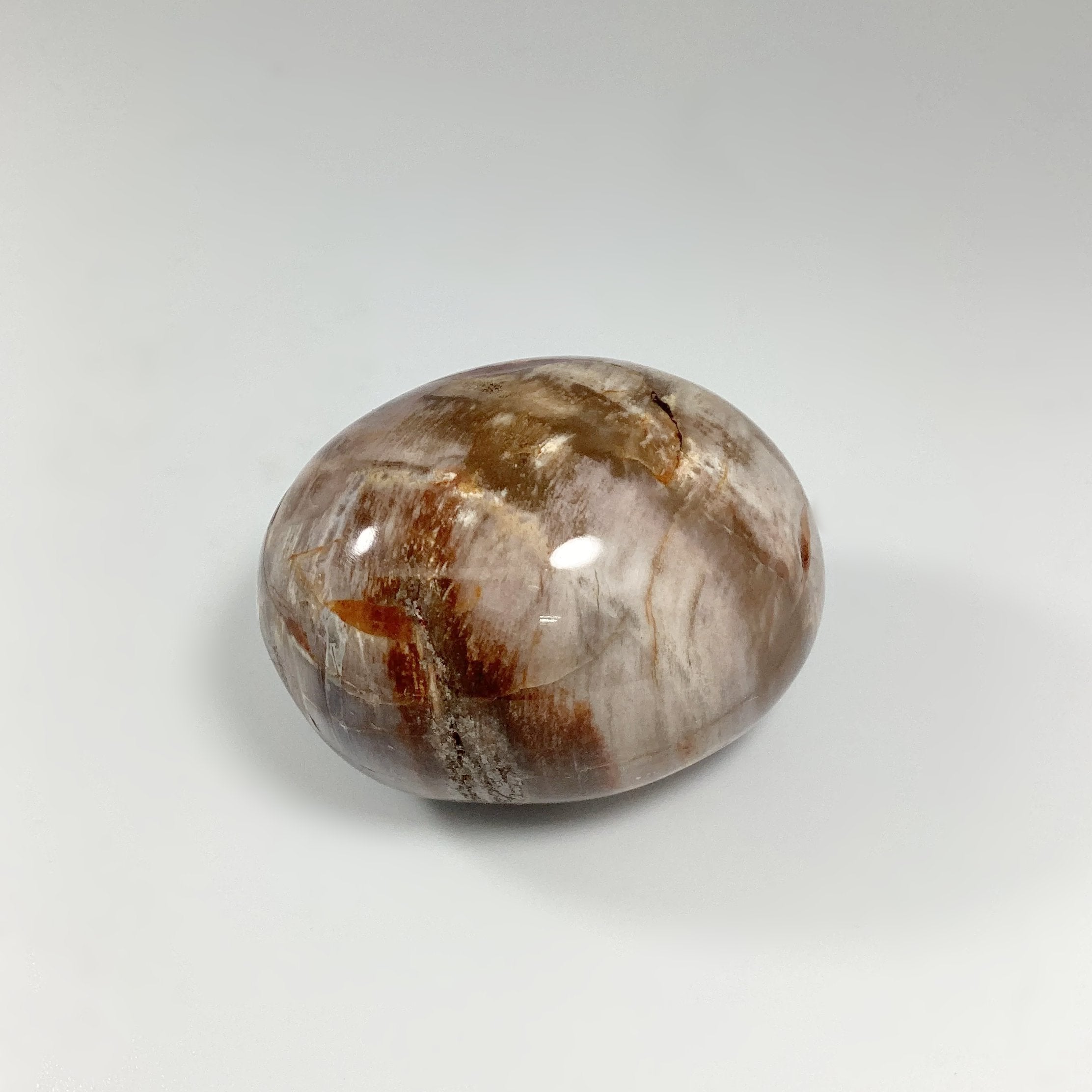 Petrified Wood Tumble