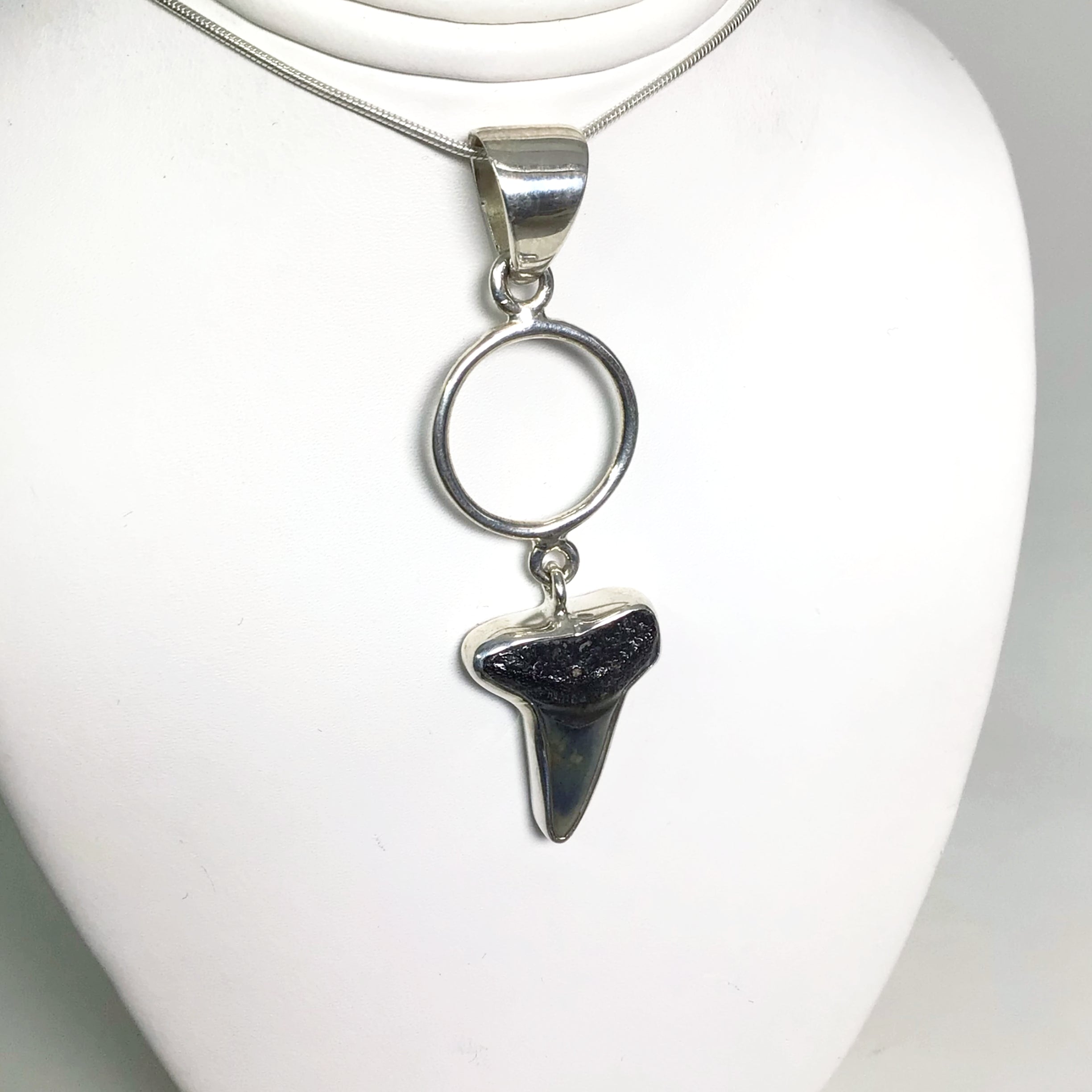 Fossilized Shark Tooth Pendant