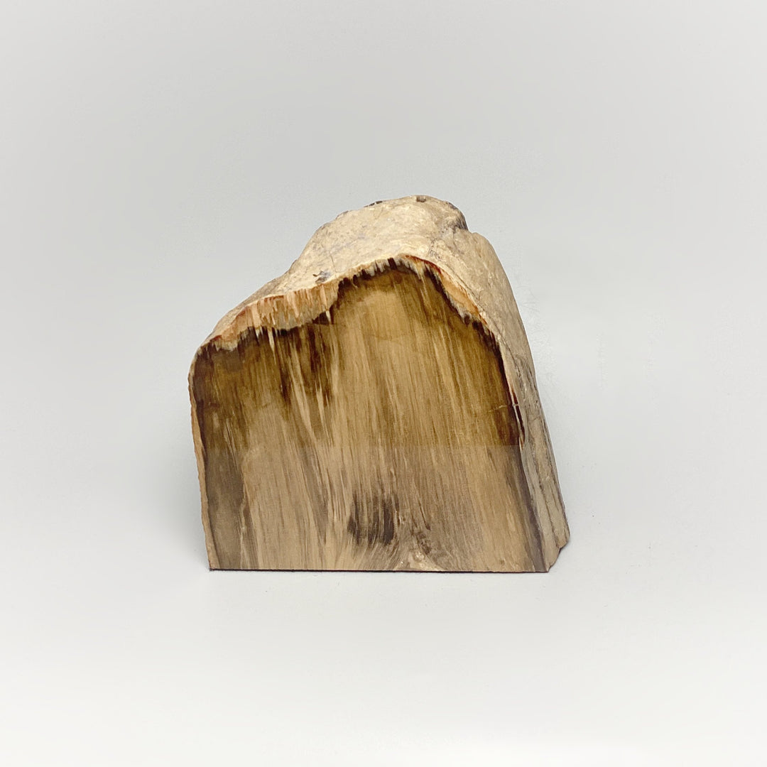 Petrified Wood Stand Up