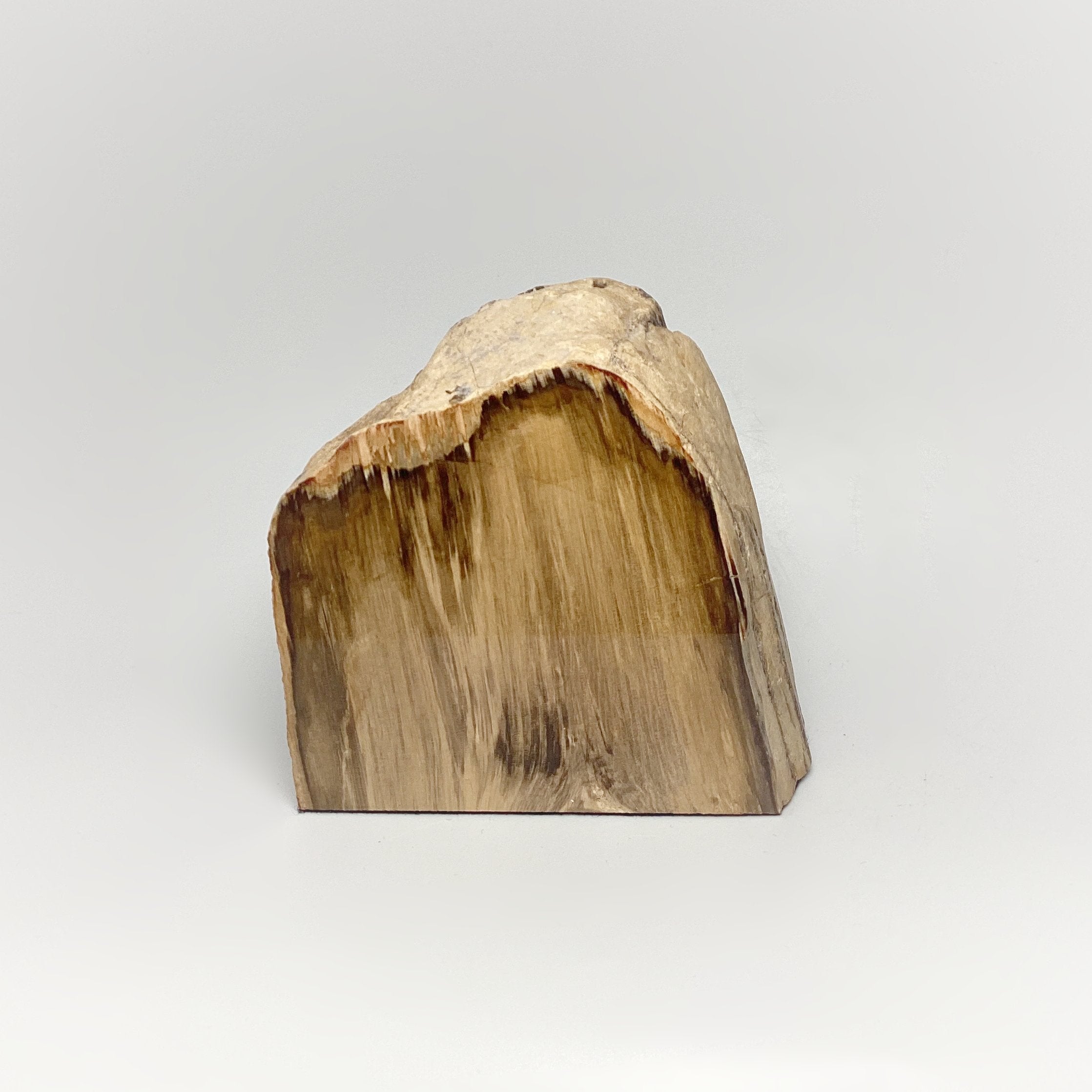 Petrified Wood Stand Up