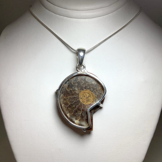 Chambered Ammonite Pendant