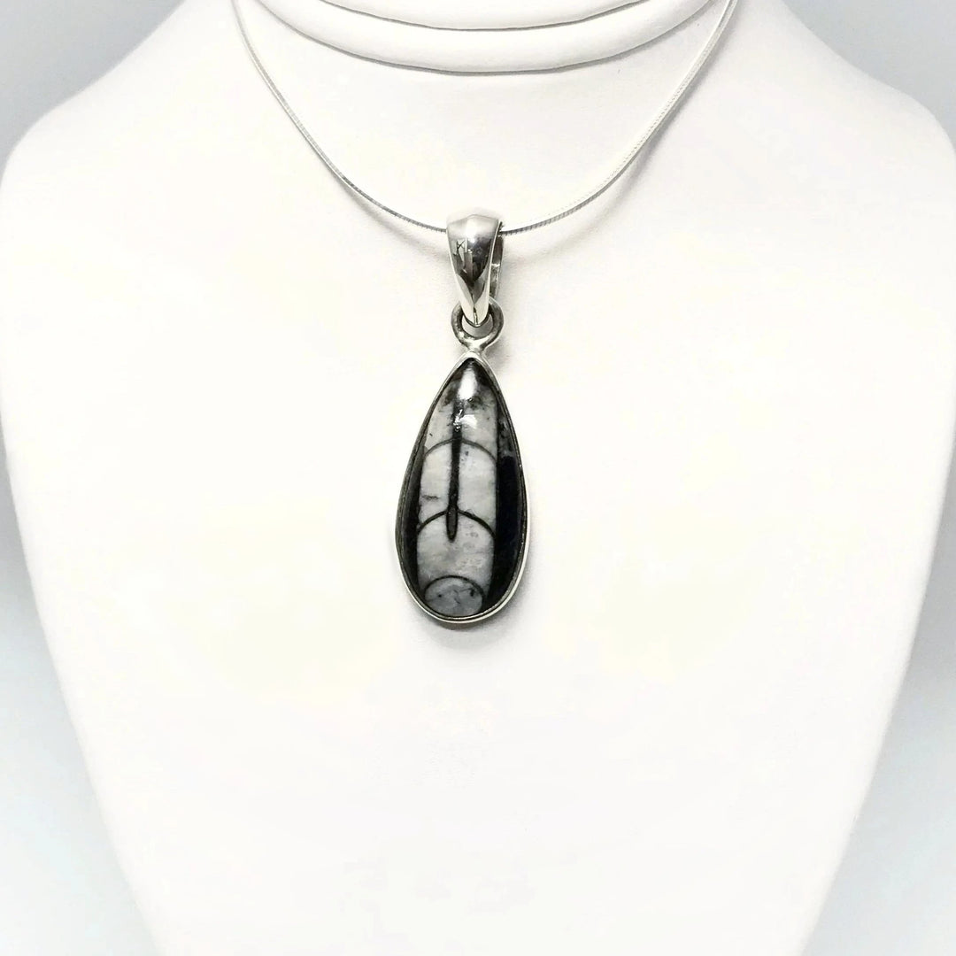 Orthoceras Pendant