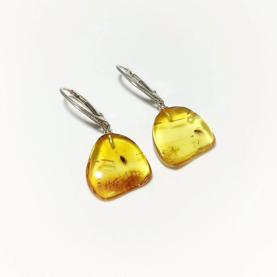 Amber with Preserved Insect Inclusion Dangle Earrings