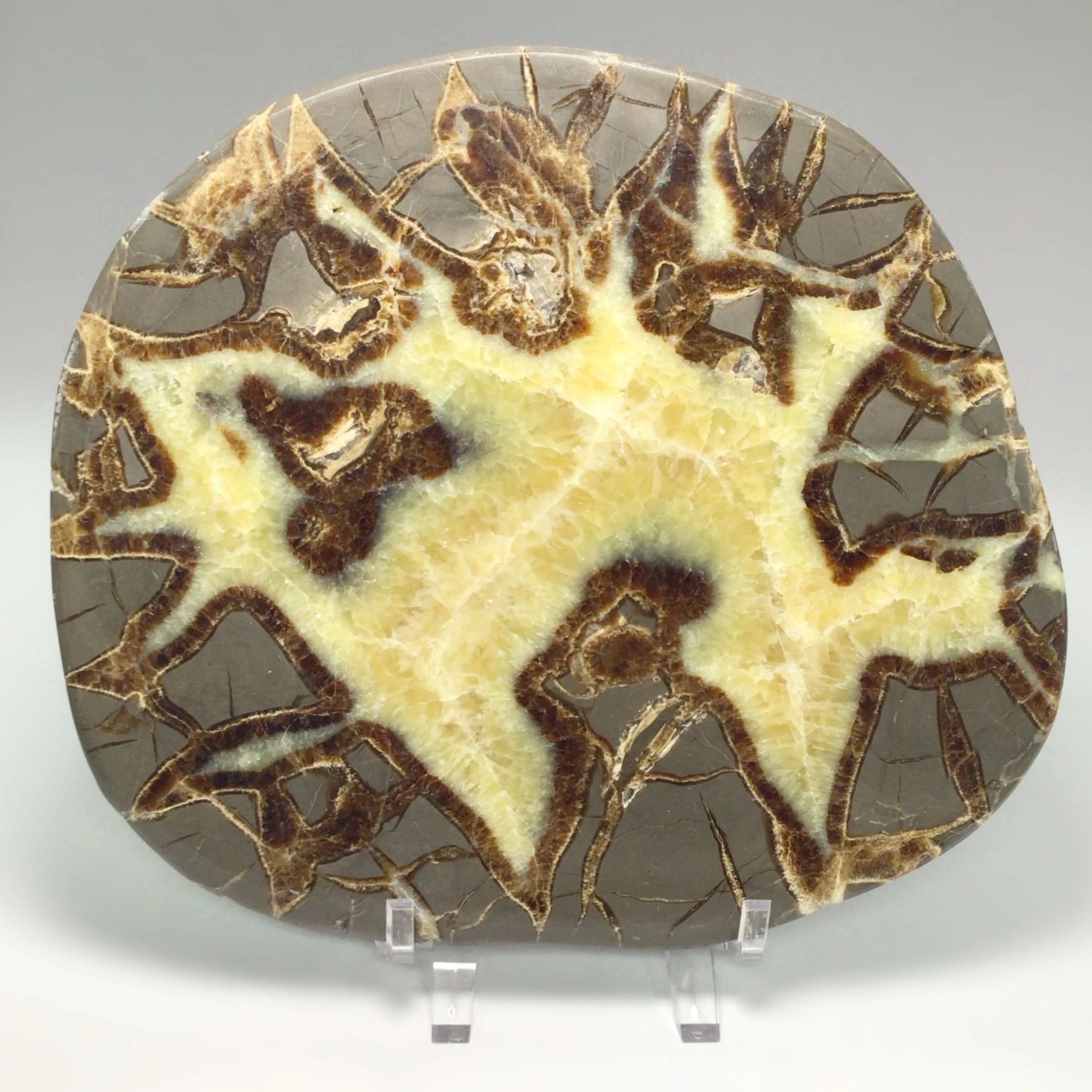 Septarian Slab